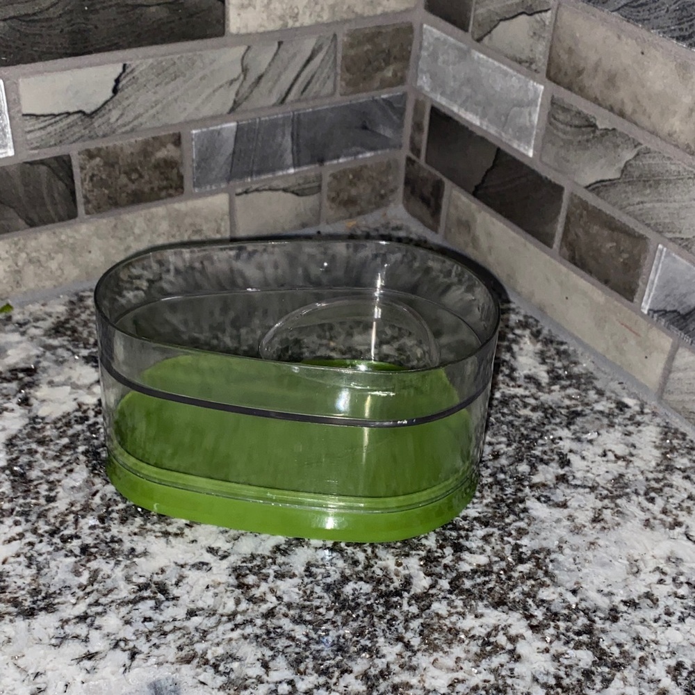 Green and Clear Avocado Storage Container